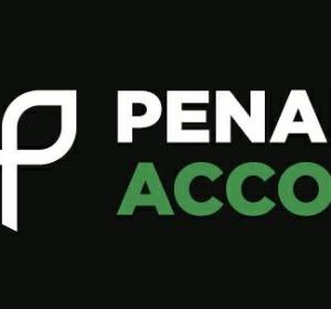 CLOUD BASED ACCOUNTING SOFTWARE '' PENAHAK''